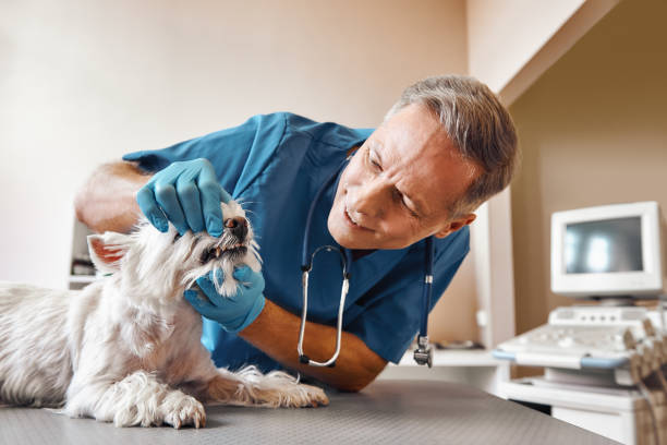 Best Emergency Tooth Extraction in Seagraves, TX